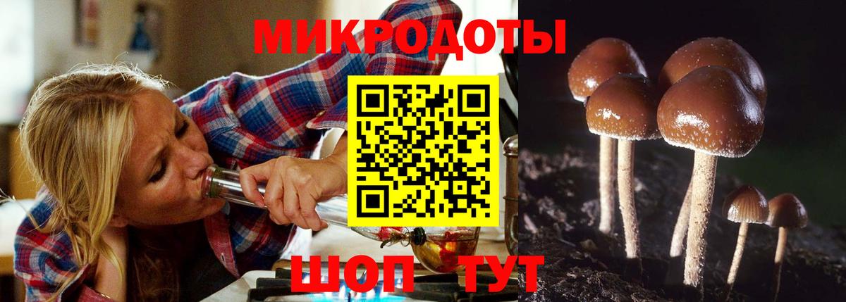 Псилоцибиновые грибы Psilocybine cubensis Благодарный