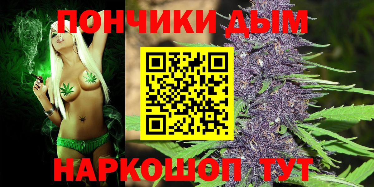 Шишки марихуана план  Вход с VPN  Марихуана семена  Благодарный  Бошки марихуана ГИДРОПОН  Конопля планчик 